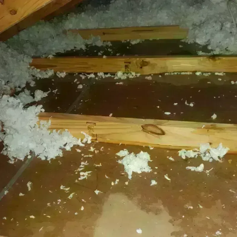 Attic Water Damage in West Wareham, MA